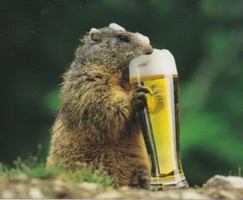 Image événement Taverne Belley