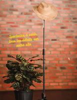 Image événement Les Saboteurs