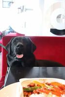 Image event Restaurant Le Lotus