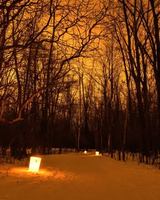 Image event Café de l'île