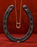 Image event Café Holt | Cuisine contemporaine canadienne