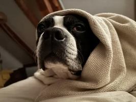 Image event Tandem Restaurant