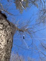 Image événement Huit 100 Vingt