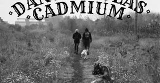 Image event les sans-taverne bar | brasserie artisanale | coop