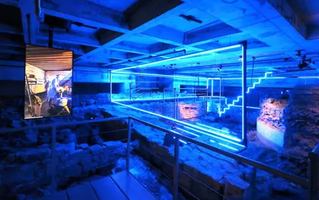 Image événement Bistro L'Arrivage