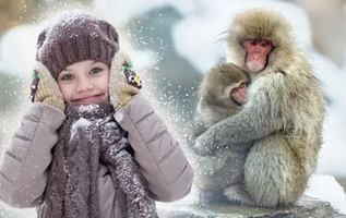 Image événement L'Émulsion - Restaurant