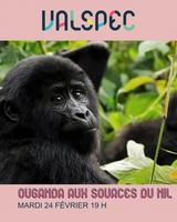 Image event Café Chez Rose