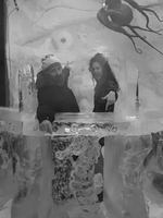 Image événement Le Saint-Graal - Brasserie Artisanale