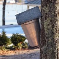 Image événement Le Cove