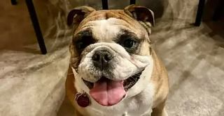 Image événement Café Arthur