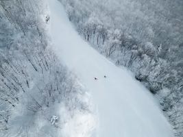 Image event Restaurant Club Haus Owl's Head