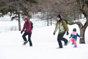 Image event Café des Amis - Pavillon du Lac-aux-Castors