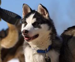 Image event Éco-café Au bout du monde