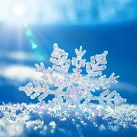 Image event Patio Panorama