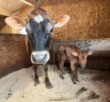 Image event La Cité Agricole