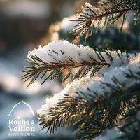 Image event La Roche à Veillon