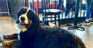 Image événement Café Arthur