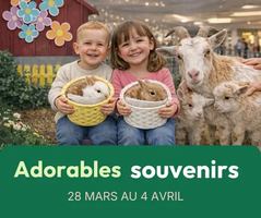 Image event Zone Shish Taouk