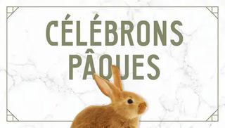 Image événement La Tomate Blanche