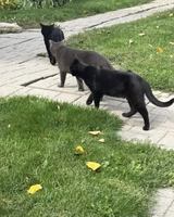 Image event Tandem Restaurant