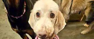 Image événement Café Arthur