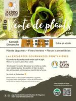 Image event Le Saint-Sapin