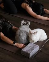 Image événement AXE LOUNGE BAR