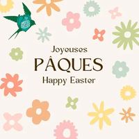 Image événement Oiseau Bleu Marché Café