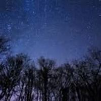 Image event Restaurant Jardin Botanique