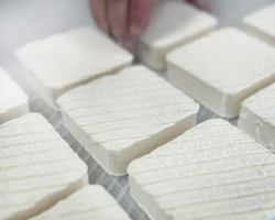 Image événement Café Ruban Bleu