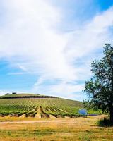 Image événement Ratatouille