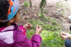 Image événement Restaurant Jardin Botanique