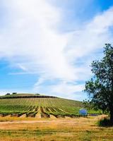 Image event Ratatouille