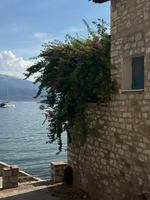 Image event Le Jardin de Panos