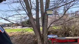 Image événement Chuck's Casse-Croute