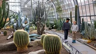 Image event Restaurant Jardin Botanique