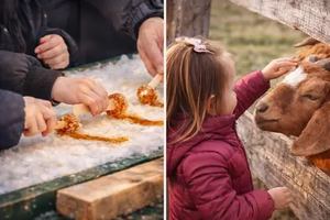 Image event La Cité Agricole