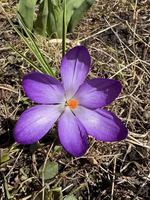 Image event Noire et Blanche - Microbrasserie / Restaurant