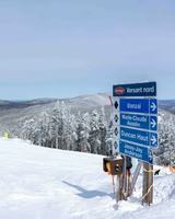 Image event Bar Manitonga