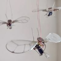 Image event Restaurant Jardin Botanique