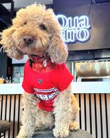 Image événement Quatro Bistro