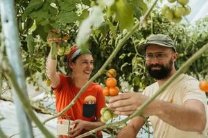 Image event La Tomaterie