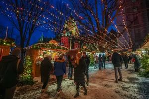 Image event Brasserie Les Mordus