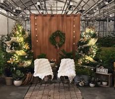 Image Ã©vÃ©nement Rose Drummond | Rose café