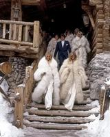 Image Ã©vÃ©nement La Cour des Palmiers