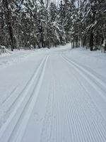 Image event Buvette du moulin