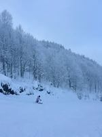 Image event Restaurant Club Haus Owl's Head