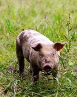 Image Ã©vÃ©nement Espace Old Mill