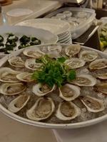 Image Ã©vÃ©nement Bleu Moutarde