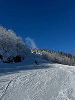 Image event Restaurant Club Haus Owl's Head